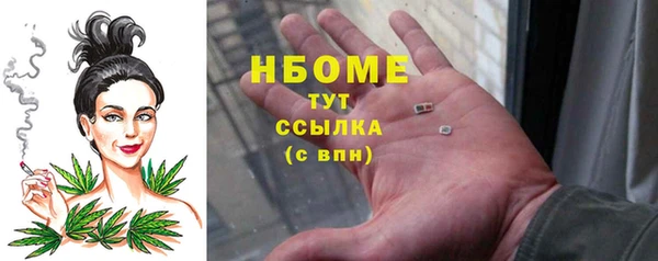 хмурый Абаза