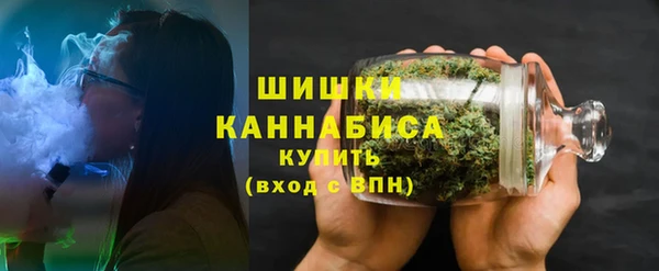 хмурый Абаза