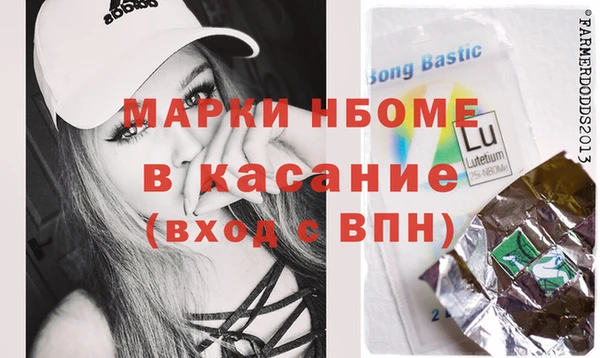 хмурый Абаза
