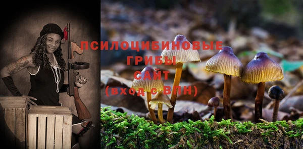 хмурый Абаза