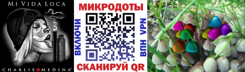 закладка  Пойковский  omg как войти  Галлюциногенные грибы GOLDEN TEACHER 
